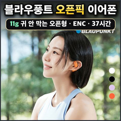 블라우풍트 오픈픽 이어폰