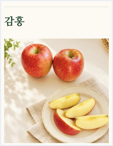 감홍사과 품종 비교 사진 2