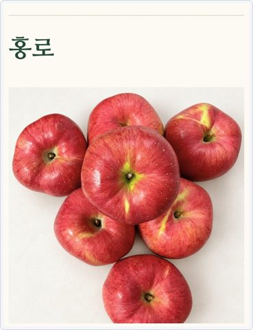 감홍사과 품종 비교 사진 4