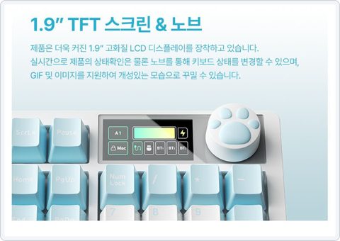 다얼유 A104 MASTER 8K 사진 3