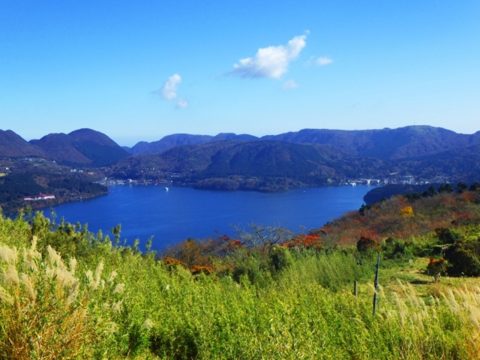 도쿄 여행 사진 2