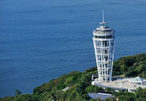 도쿄 여행 사진 7